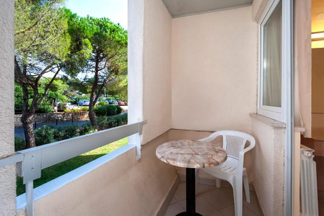 Hotel Delfin Plava Laguna Classic single room with balcony C1B