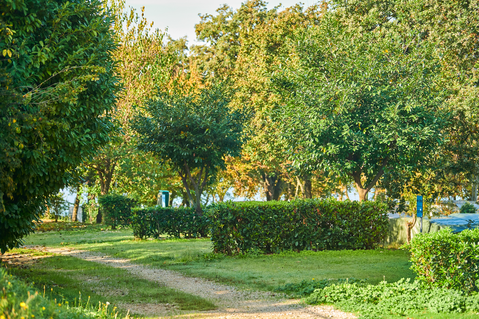 camping-zelena-laguna-pitch-classic