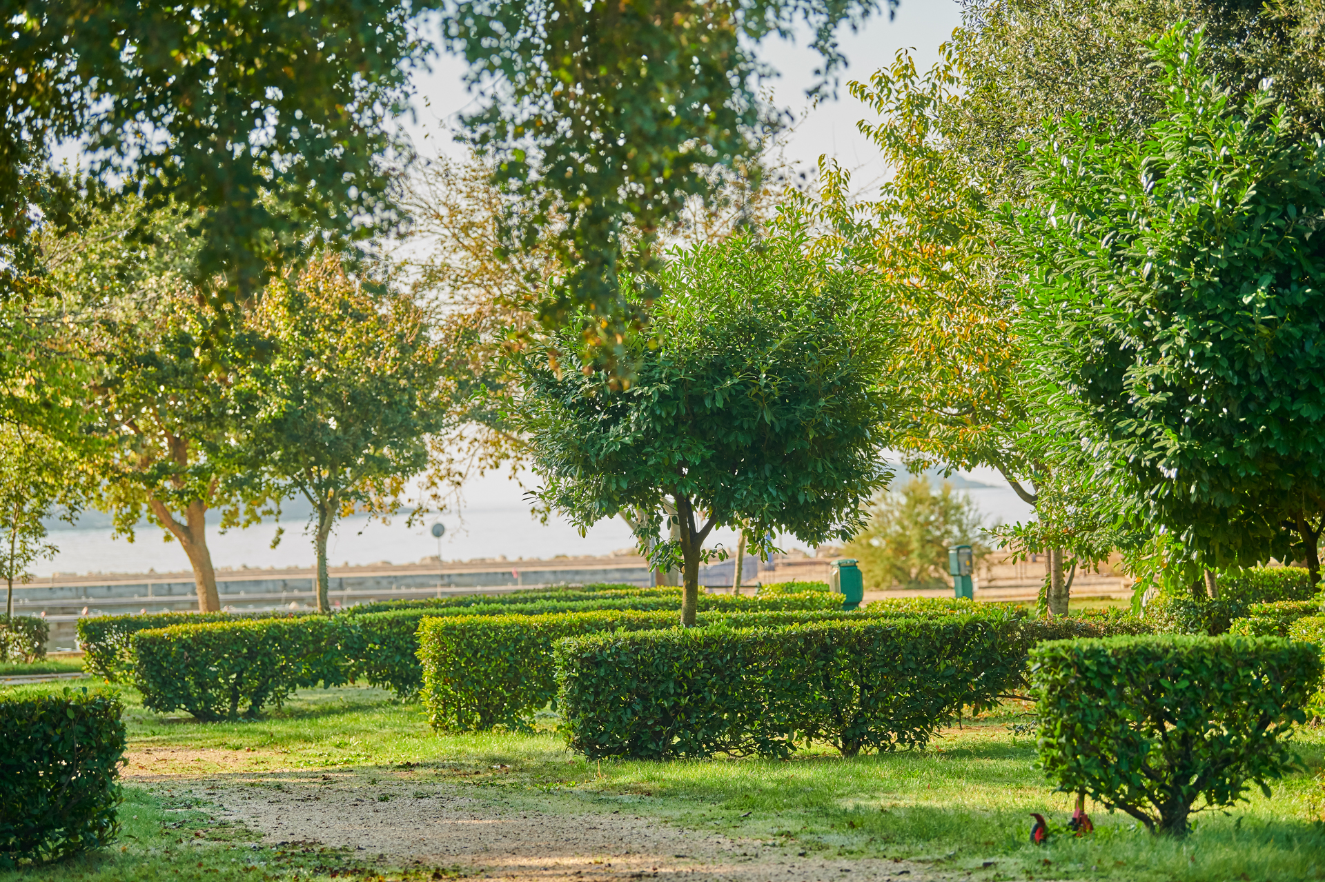 Istra Camping Camping Bijela Uvala Pitches Classic Zone E