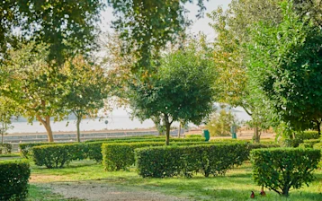 Istra Camping Camping Bijela Uvala Pitches Classic Zone E