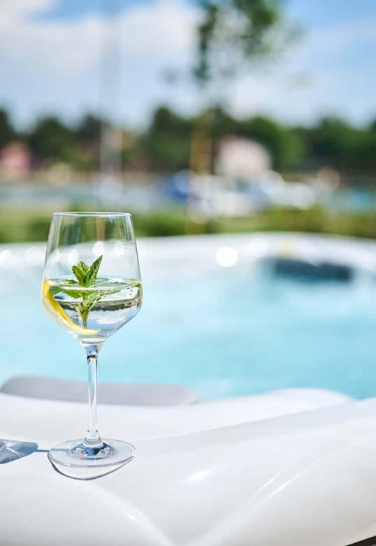 istrian-villas-premium-services-offer