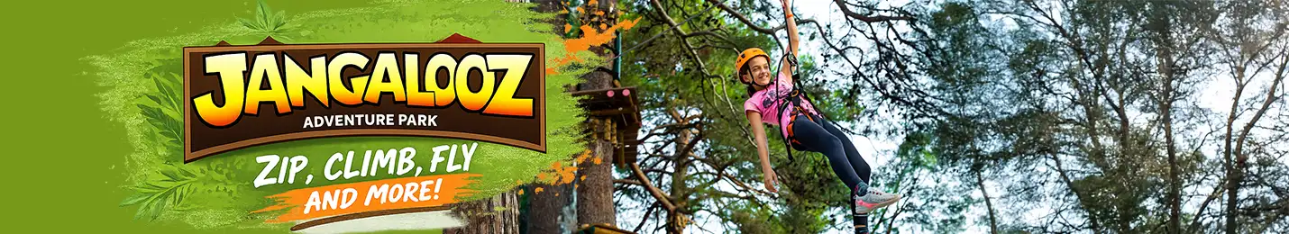 Jangalooz_Banner_with_Link