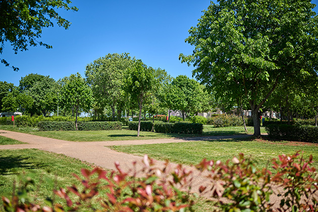 Istra Camping 2024 Camping Park Umag Accommodation units pitches Superior Lavanda Pitch SPL (11)