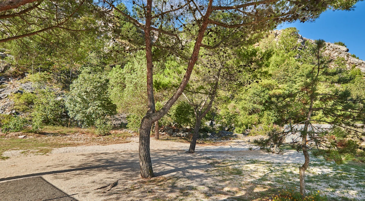 camping kanegra - superior pitch