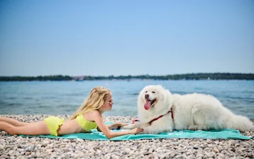 Stella Maris Resort - swimming pools and beaches-Pet friendly beach