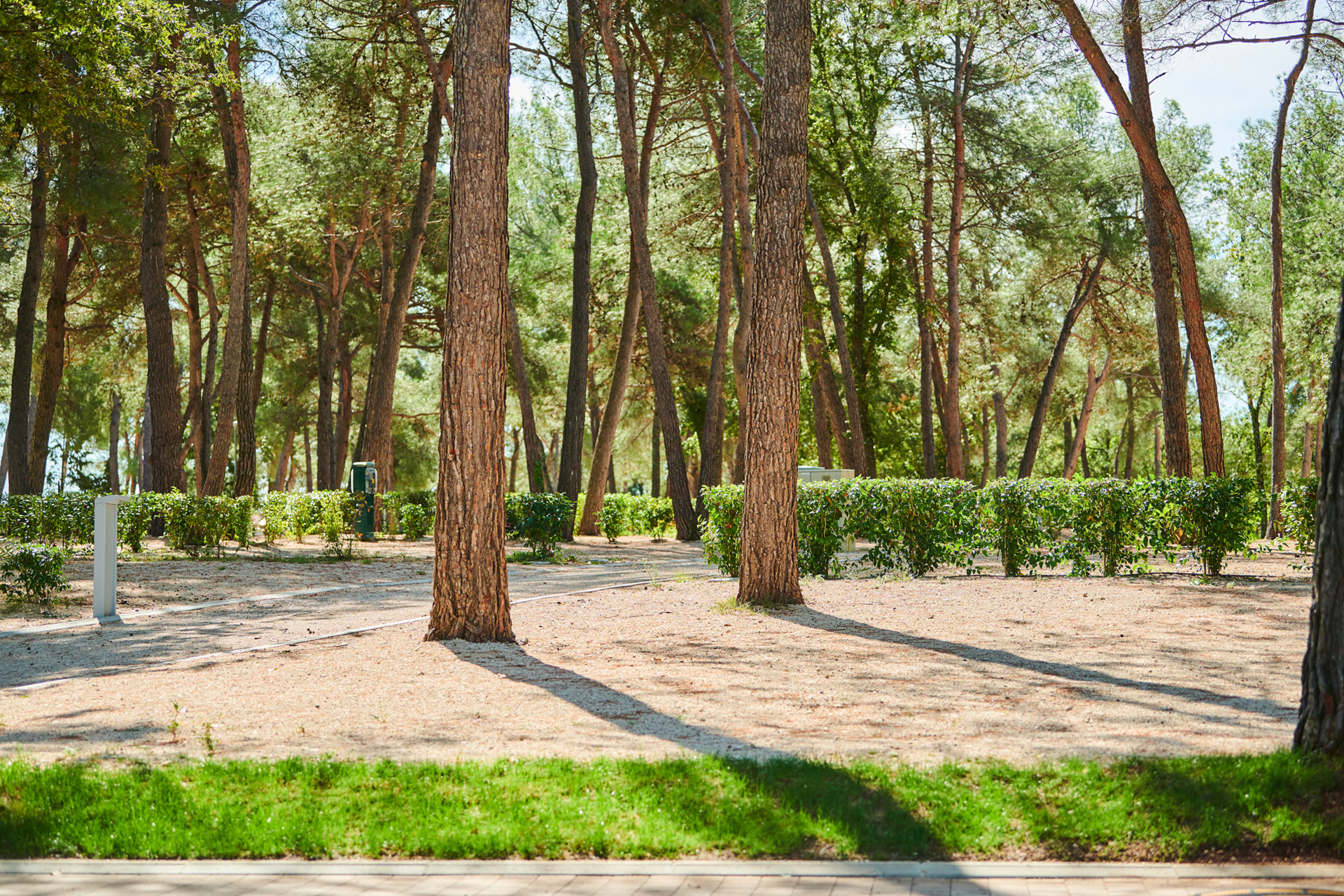 camping stella maris - superior pitch2