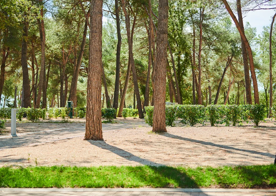 camping stella maris - superior pitch2