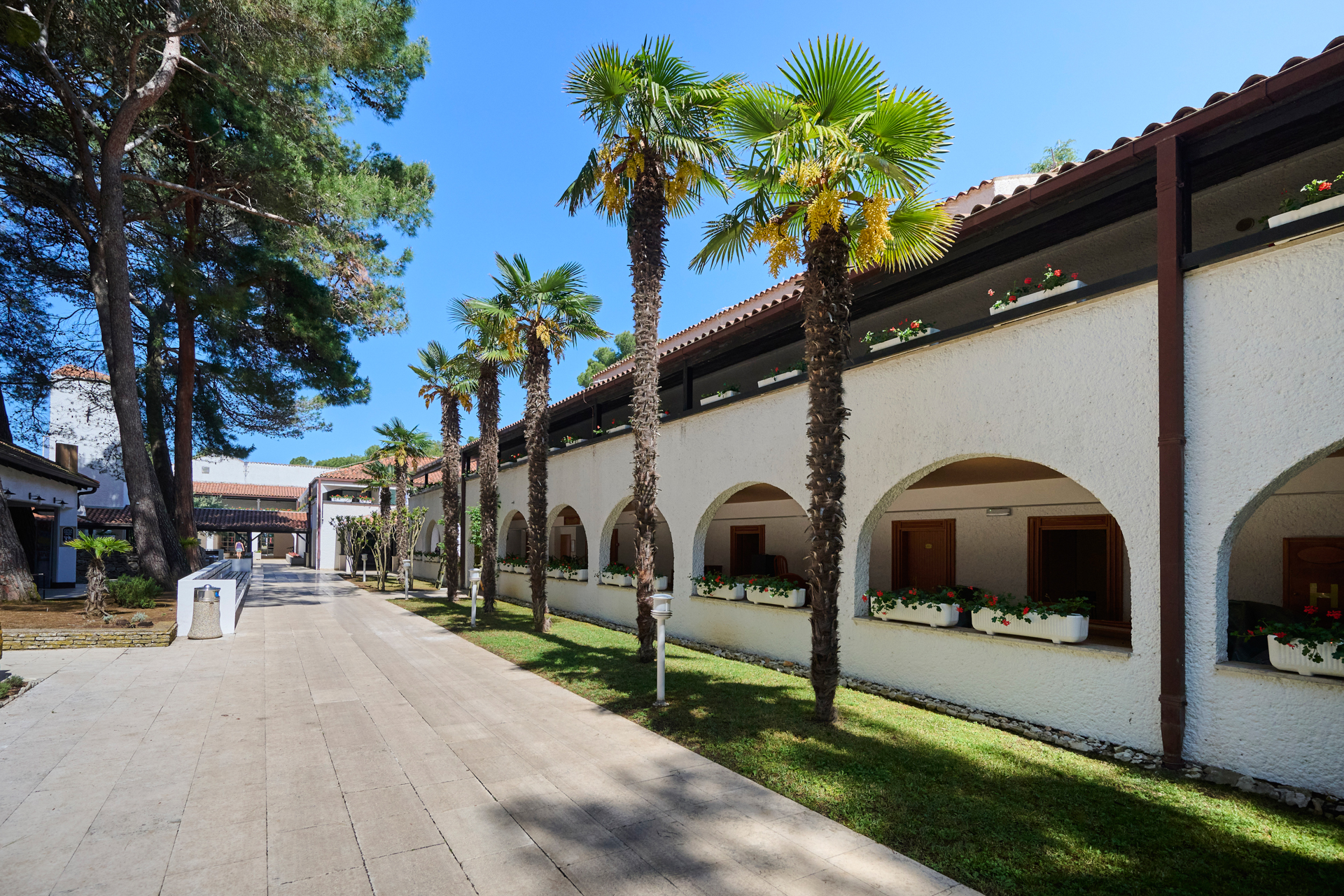 galijot-landscape (3)