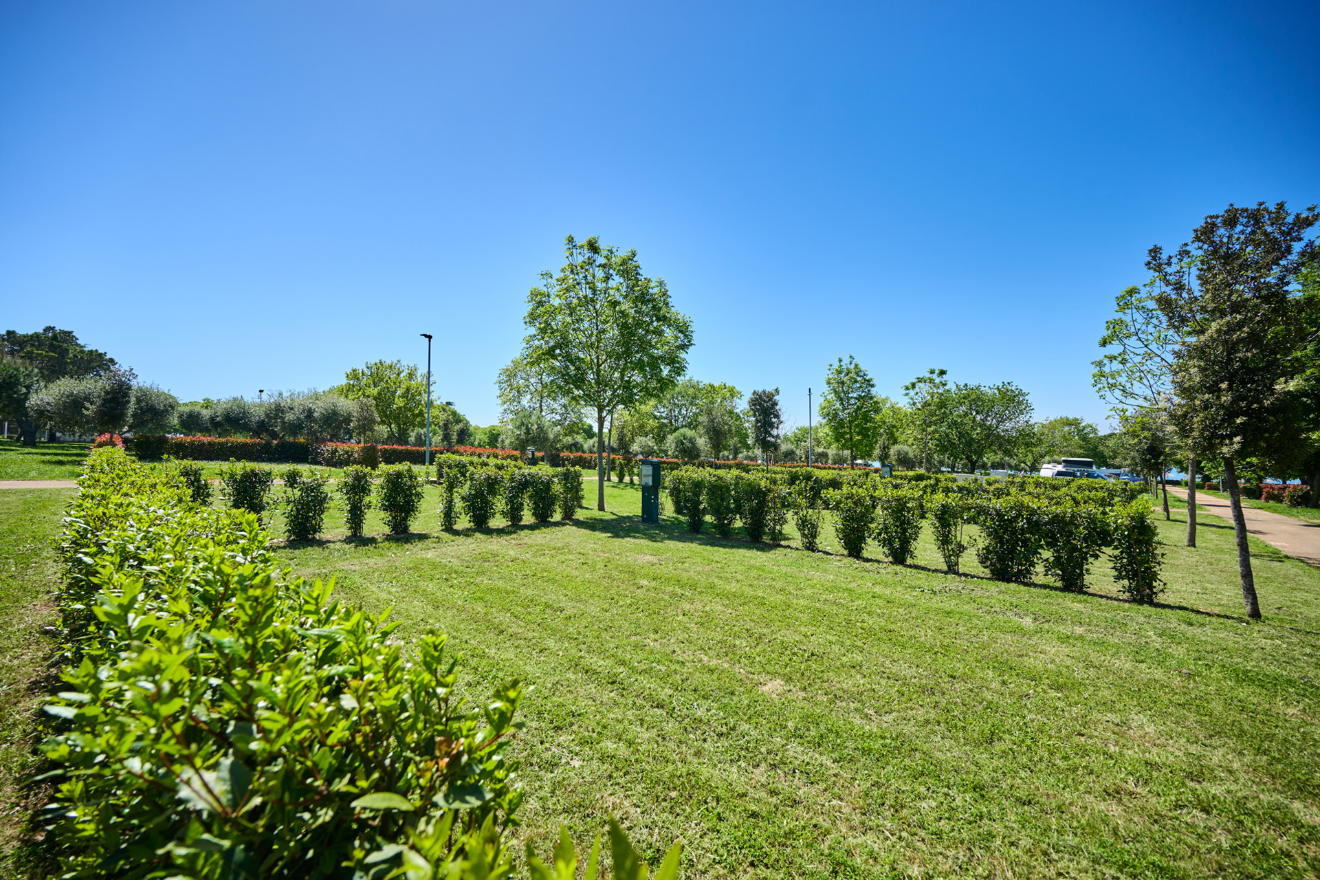 camping park umag - superior pitch