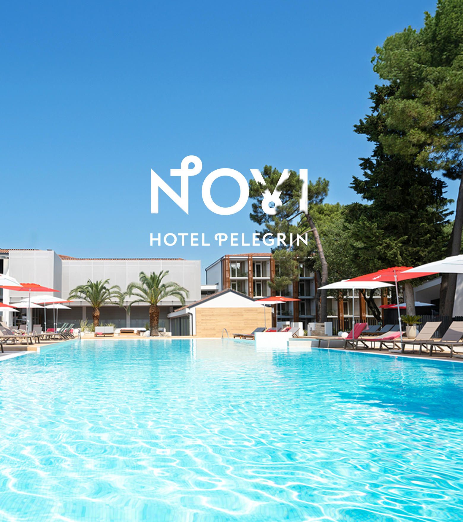 new-pelegrin- 1920x680