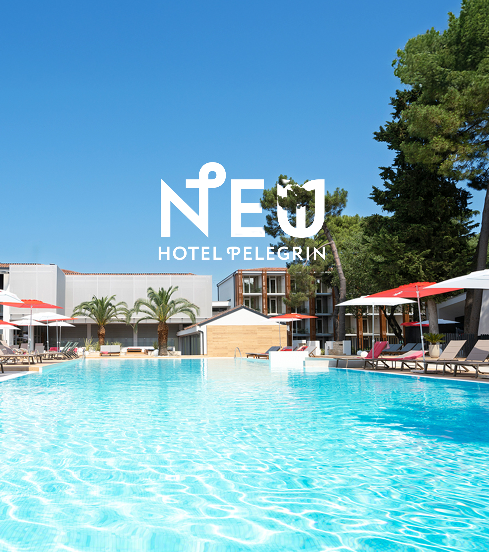 new-pelegrin- 1920x680