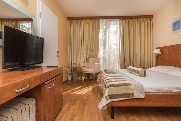 Economy Zimmer mit Französisches Bett Parkseite - Connected