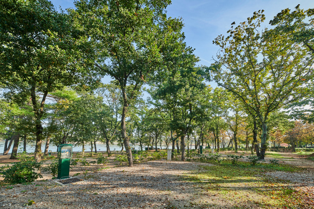 Istra Camping Camping Puntica 2019 Pitches Classic pitch - zone A CPA (3)