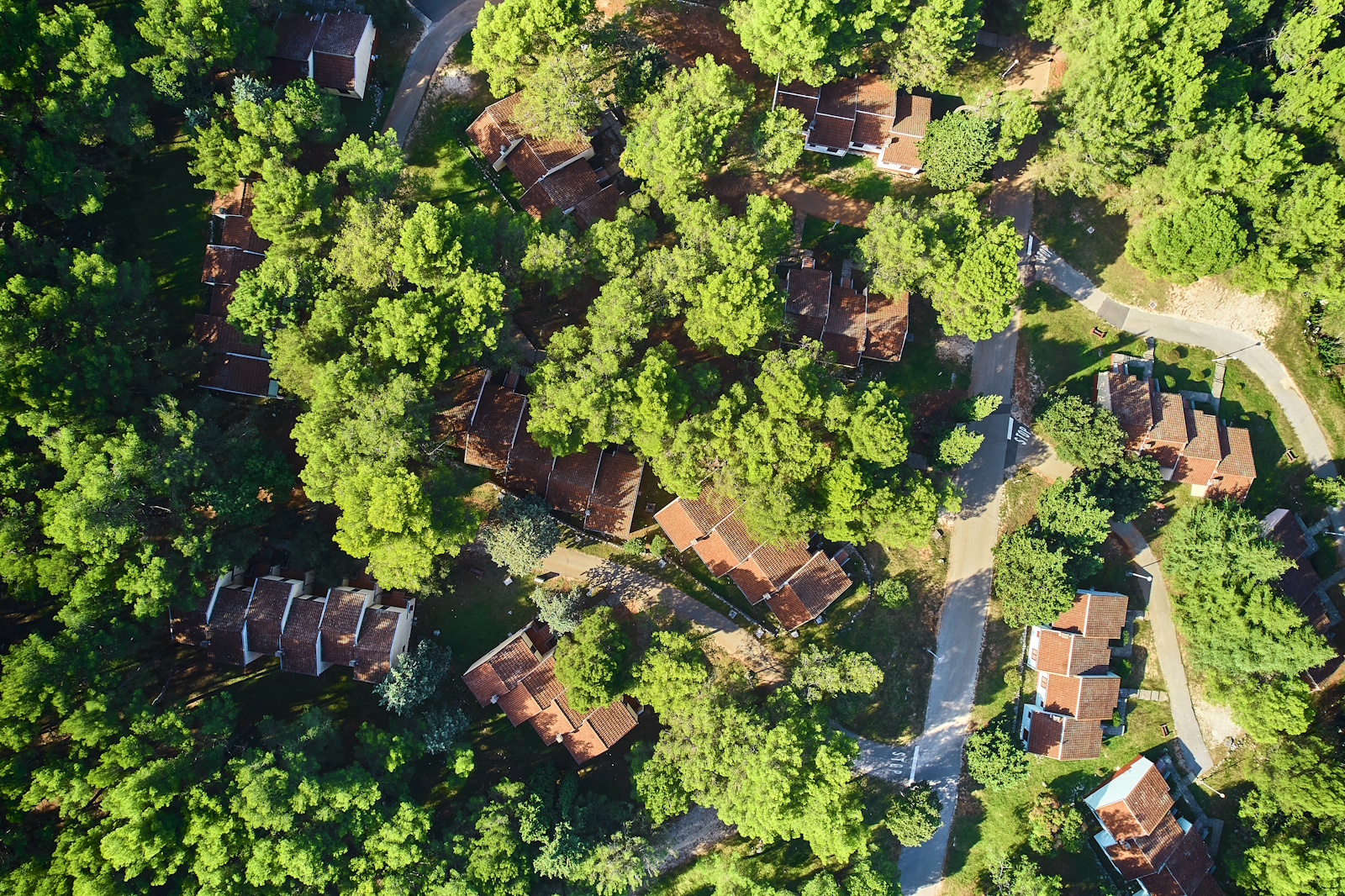 Apartments Kanegra Plava Laguna landscape