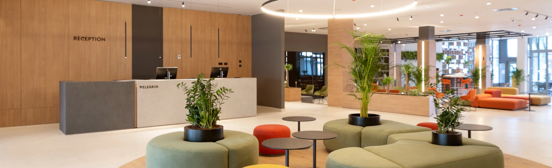 Hotel Pelegrin Plava Laguna - Description