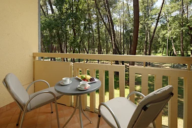 Hotel Aurora Plava Laguna 2024 Accommodation units Classic room with balcony park side C2BP (1)