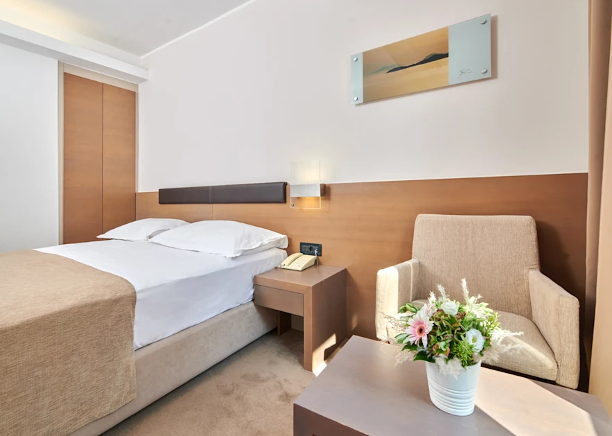hotel-molindrio-plava-laguna-economy-room-with-french-bed