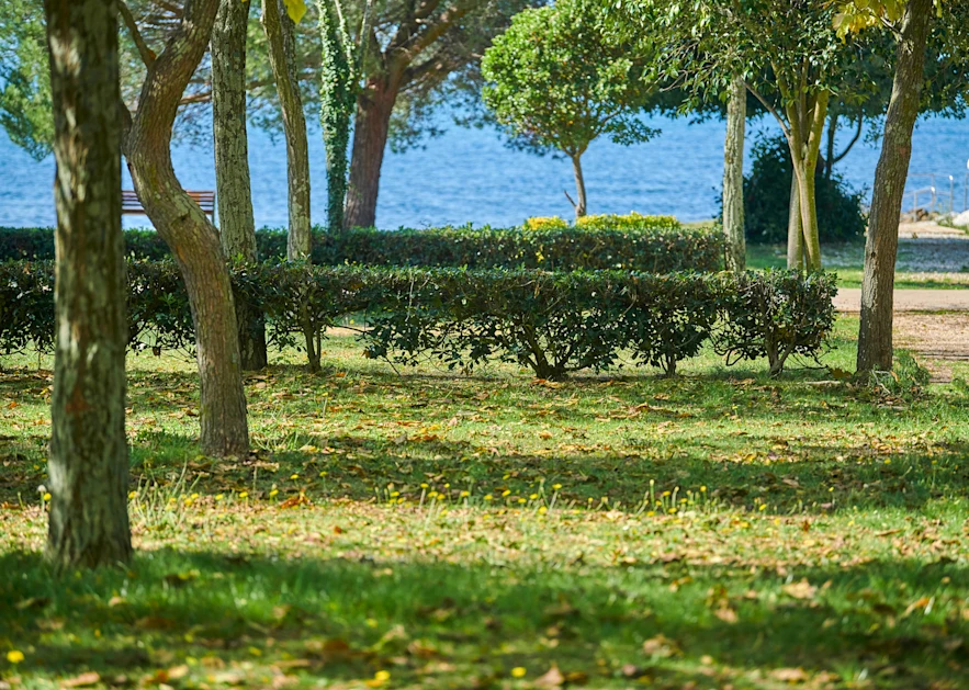 campsites-camping-ulika-pitch-classic