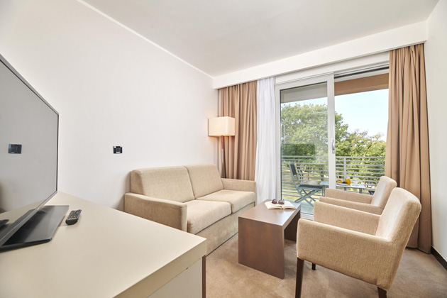 Suite with balcony sea view