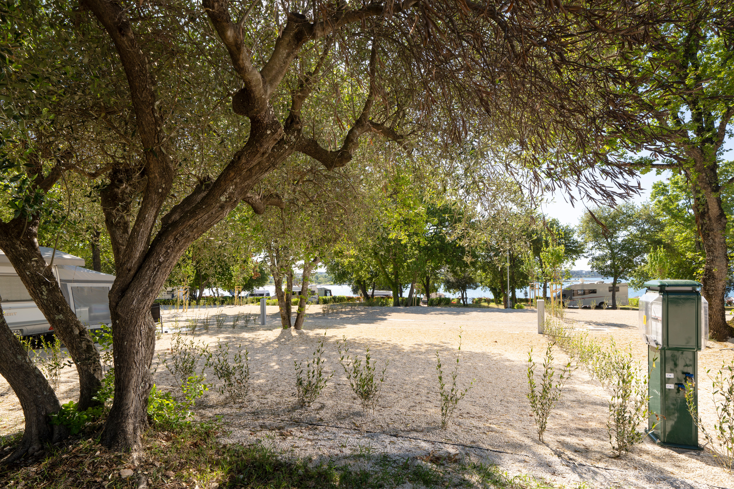 Superior pitch/ 0023 141341 Camping Ulika Istra Camping 2026 pitches Superior SP (2) 8499x5666