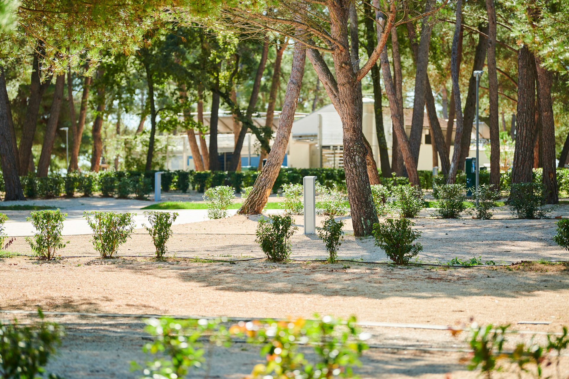 camping stella maris - superior pitch5