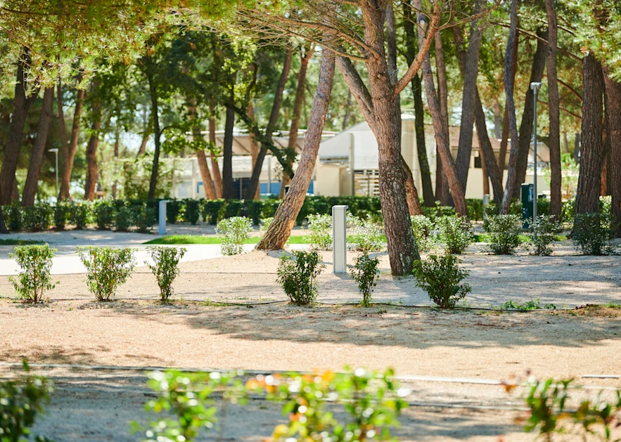 camping stella maris - superior pitch5