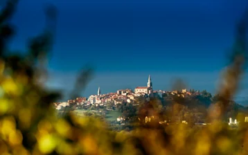 buje