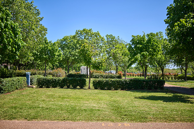 Istra Camping 2024 Camping Park Umag Accommodation units pitches Superior Lavanda Pitch SPL (10)