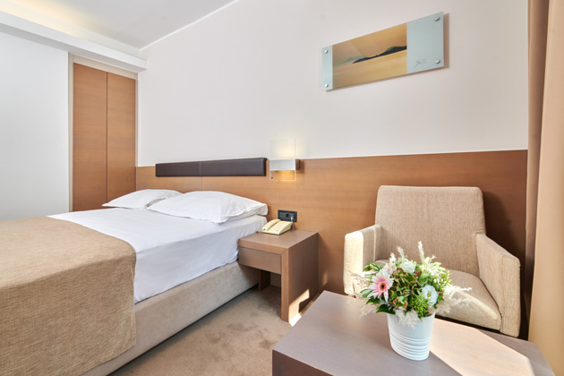 Hotel Molindrio Plava Laguna Economy room with french bed - E2F