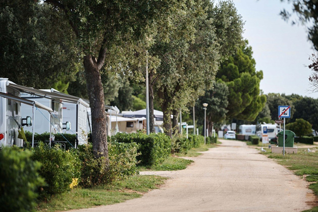 Classic pitch - Pets Friendly