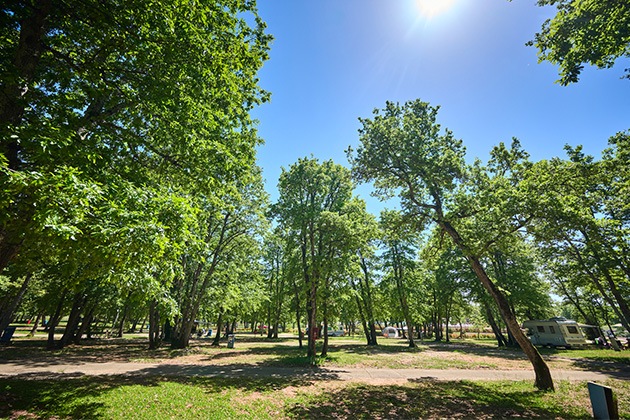 Istra Camping 2024 Camping Park Umag Accommodation units pitches Classic Pitch CP (4)