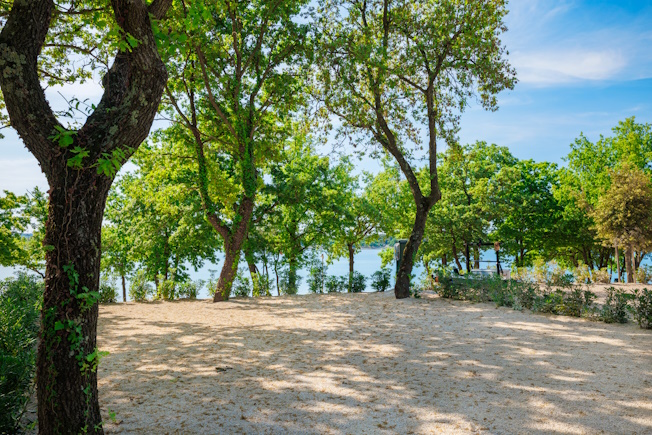 News - Camping Bijela Uvala ACSI award 2026 13