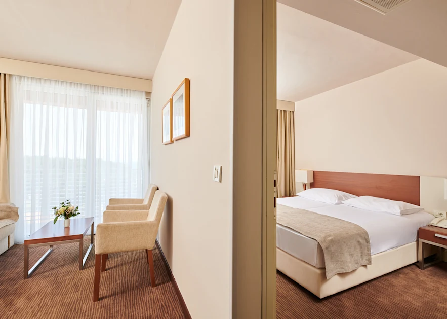 hotel-albatros-plava-laguna-accommodation-suite-with-balcony-sea-side-1