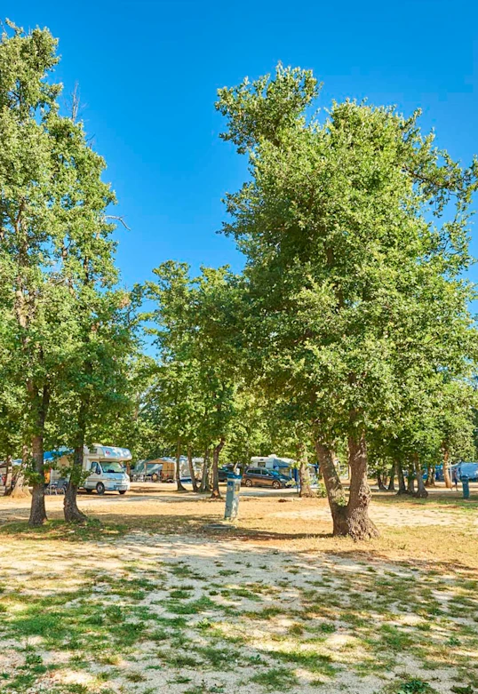 camping finida - superior pitch