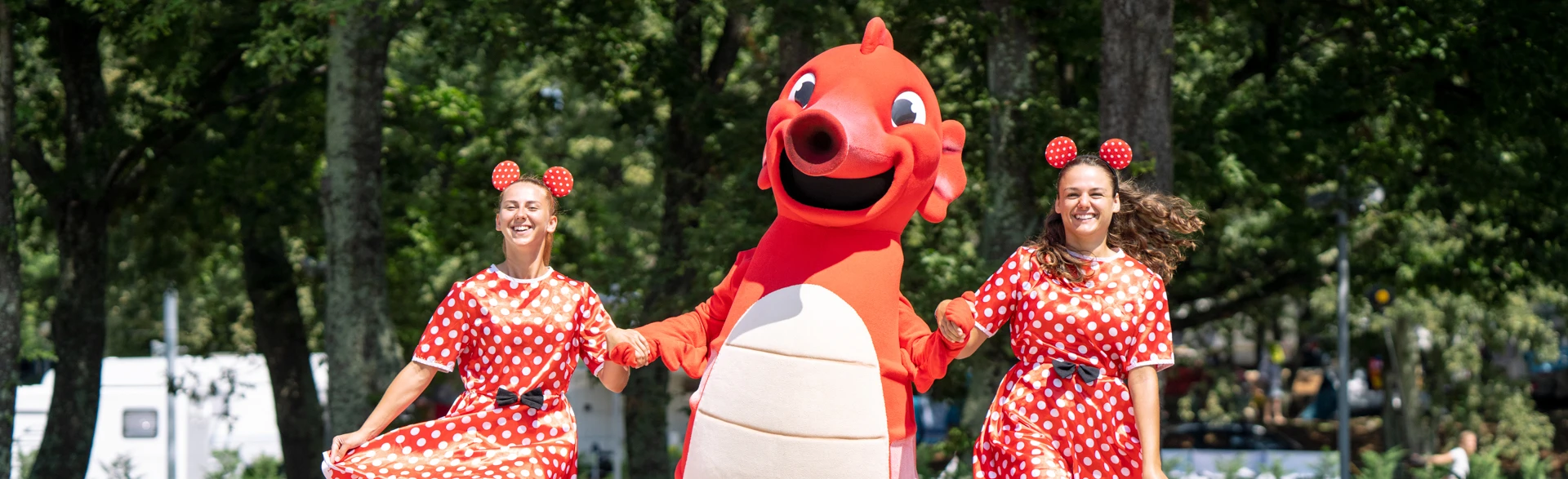 Campsites Stella Maris - Activities n- Fun