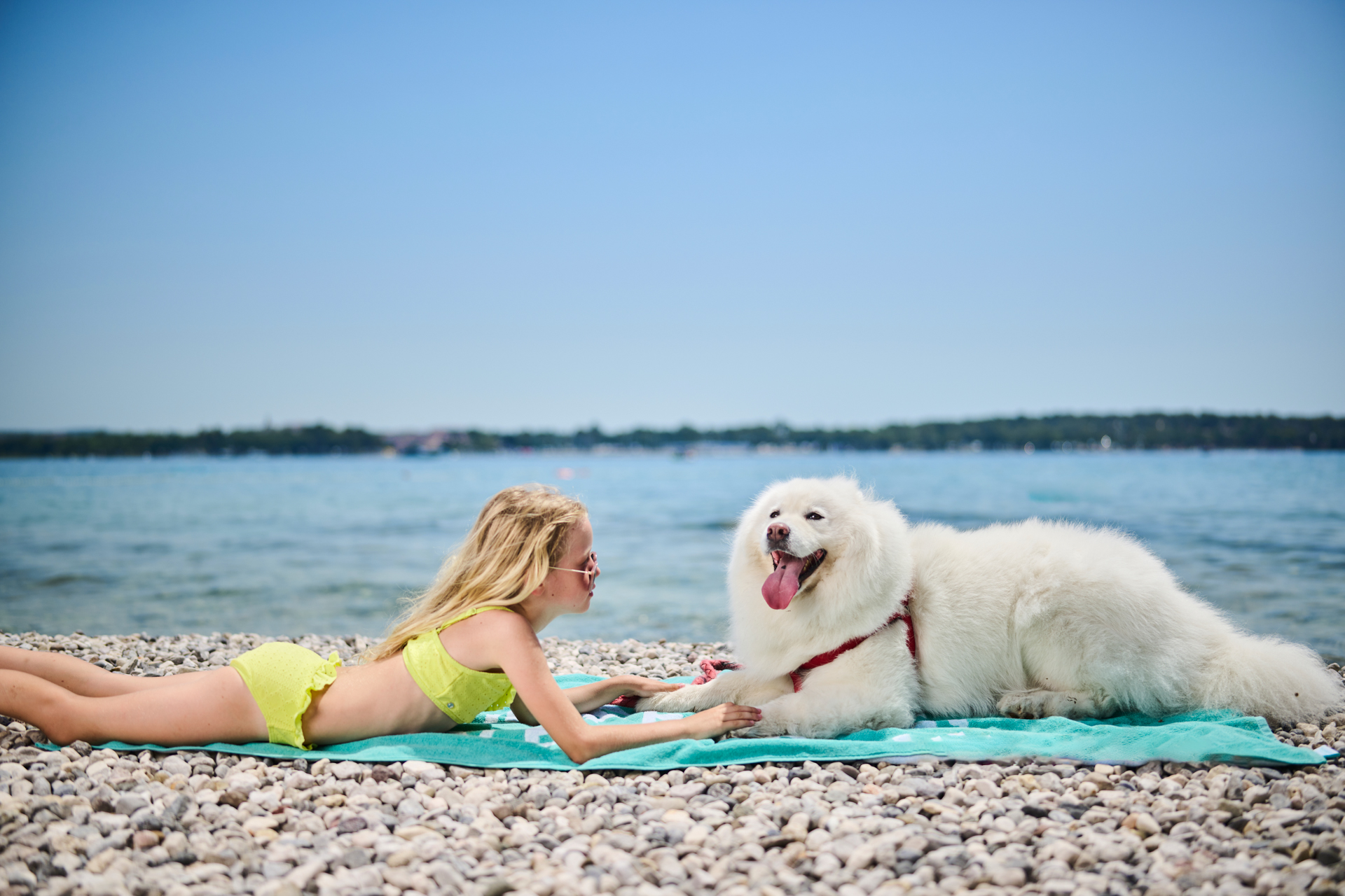 camping-stella-maris-overview-pools-beaches-beach-pet-freindly