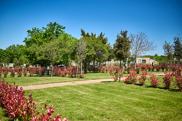 Istra Camping 2024 Camping Park Umag Accommodation units pitches Classic Plus Pitches CLP (1)