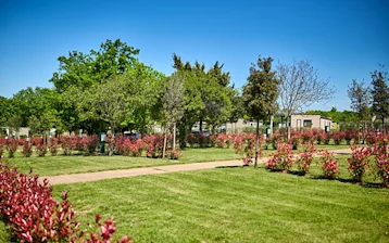 Istra Camping 2024 Camping Park Umag Accommodation units pitches Classic Plus Pitches CLP (1)