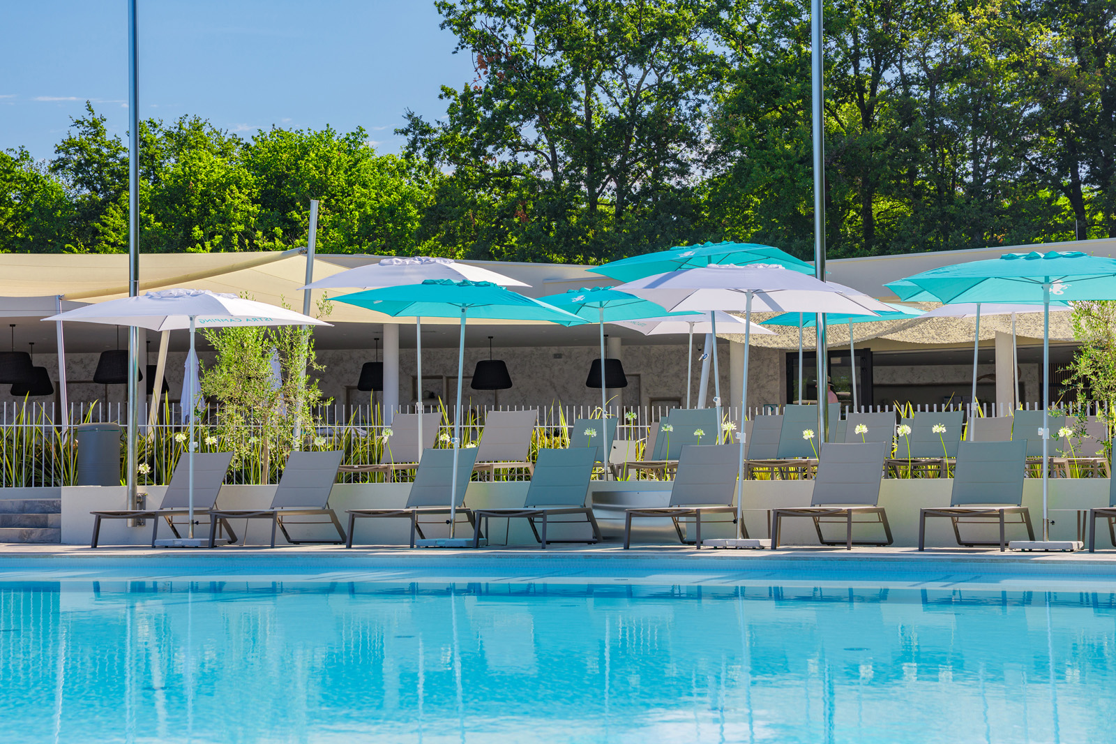 0040 137637 Istra Camping Camping Bijela Uvala 2025 outdoor swimming pool near Vista Mare (6)