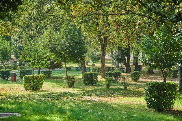 Istra Camping Camping Bijela Uvala 2019 Pitches Classic Zone B (2)