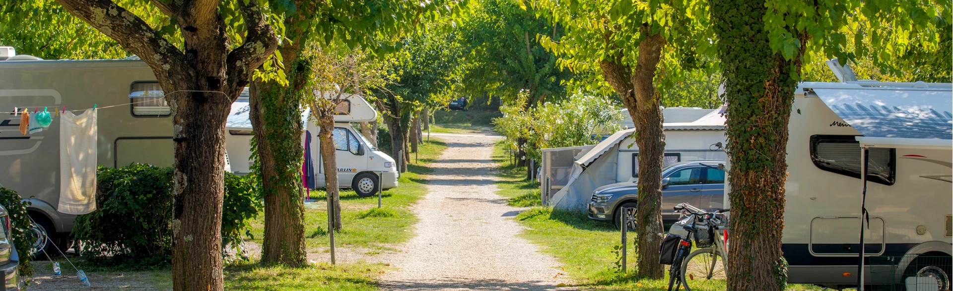 camping zelena laguna - landscape pitches3