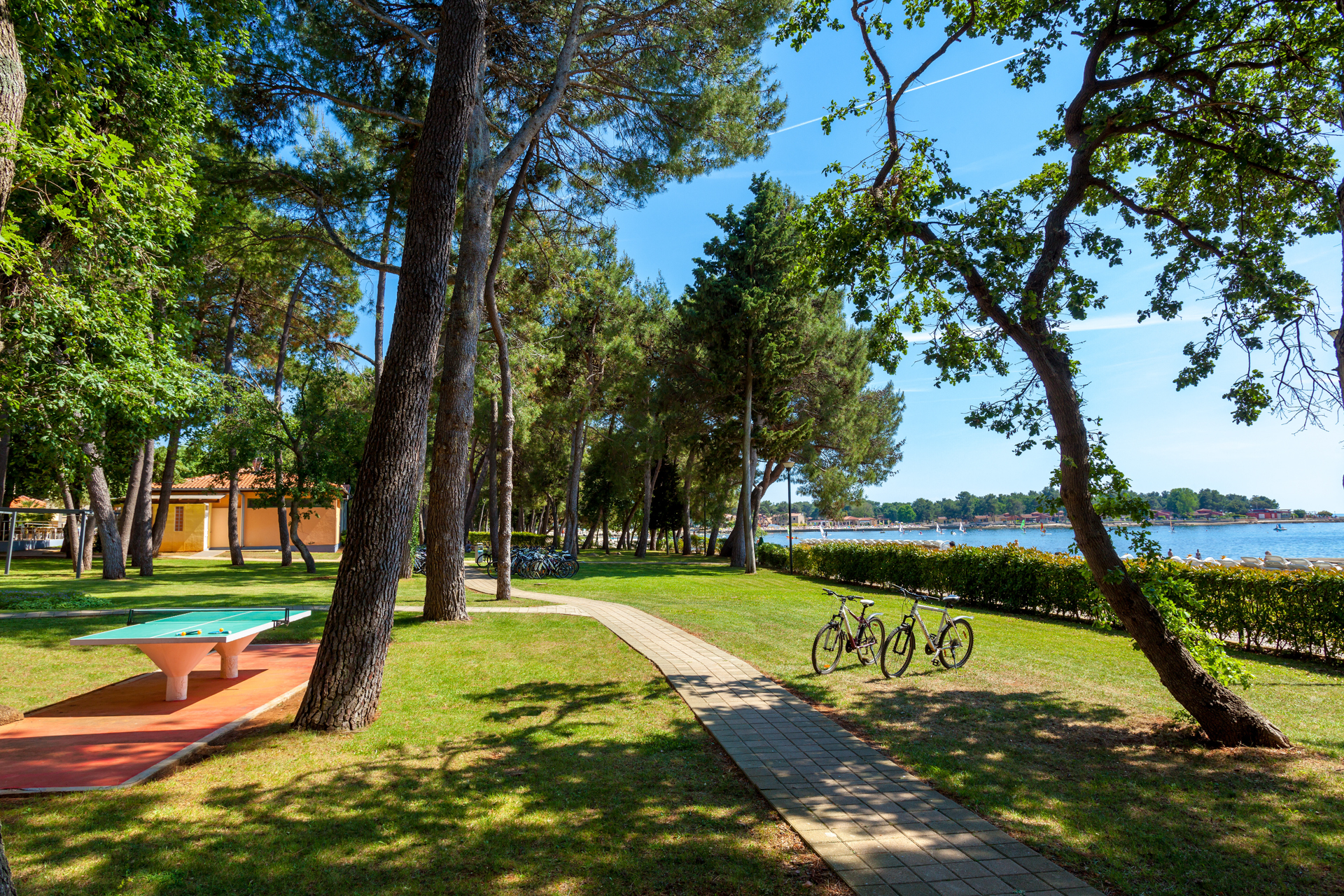 Hotel Aurora Gallery 4