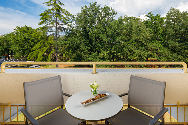 Hotel Aurora classic with balcony family 1