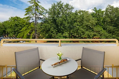 Hotel Aurora classic with balcony family 1