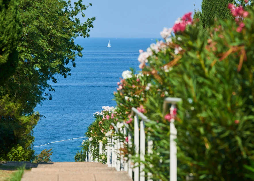 villas-bellevue-plava-laguna-landscape