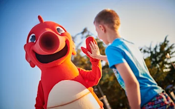 Istrian Villas Activities&Experiences