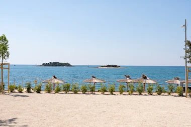 zelena laguna luxury mare pitch lpm 2025 8 (1)