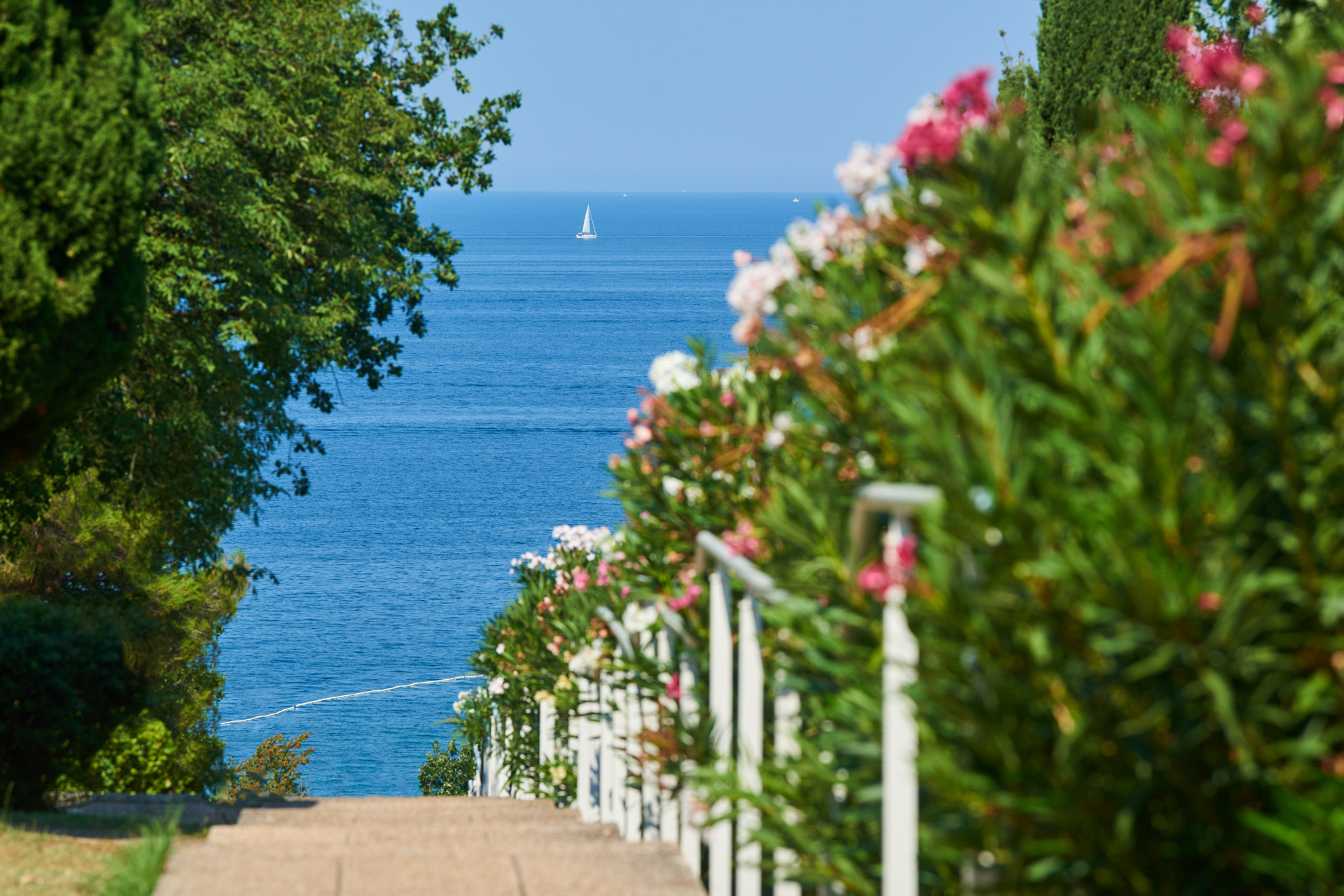 apartments bellevue gallery 3