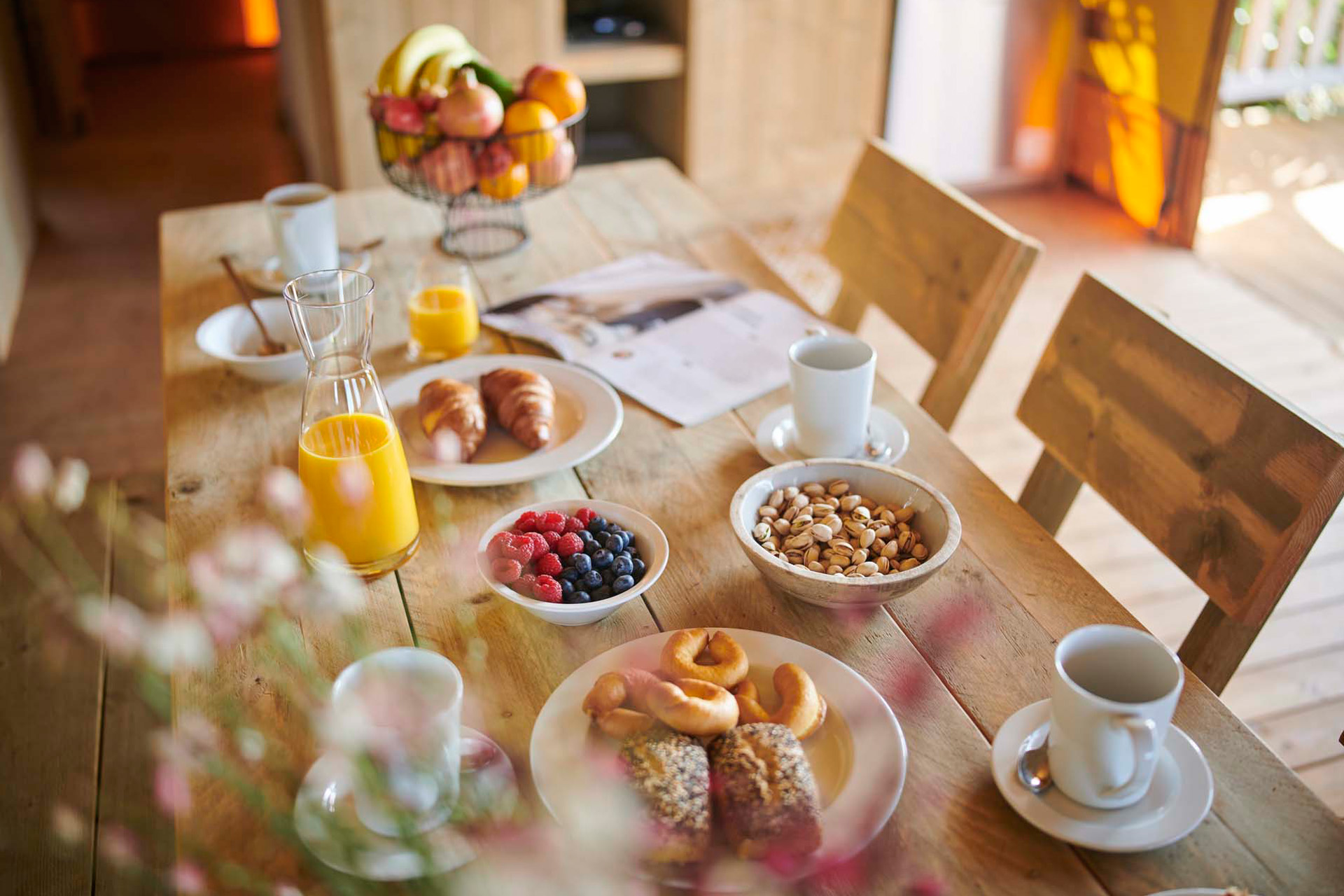 Istra Camping Camping Park Umag 2020 Family Glamping Tent 