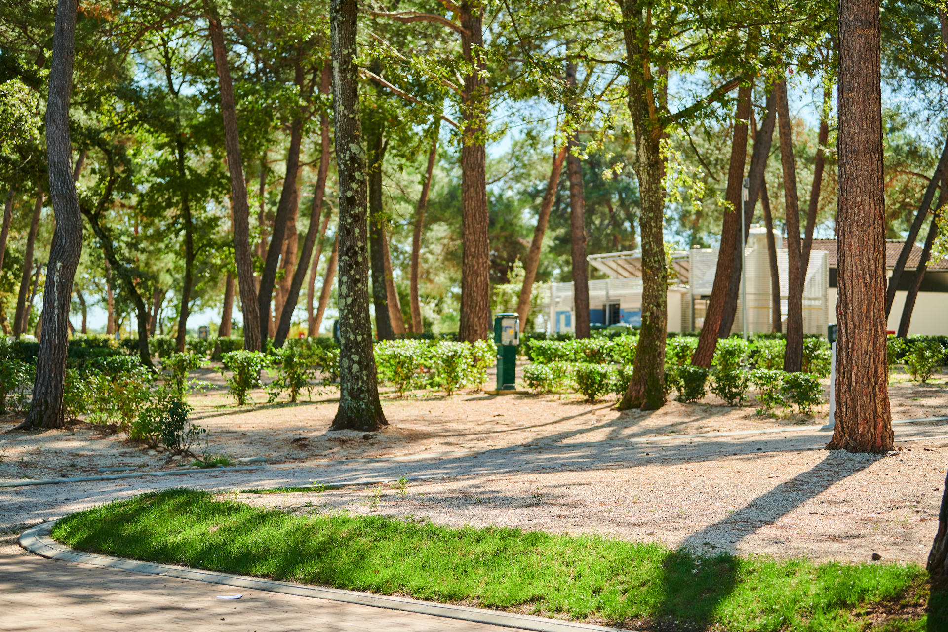 camping-stella-maris-accommodation-pitches